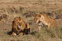 022 Kenia, Masai Mara, leeuwen